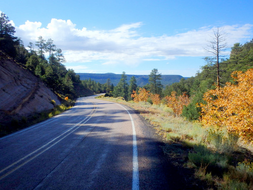 GDMBR: San Mateo Spring to Grants, New Mexico.